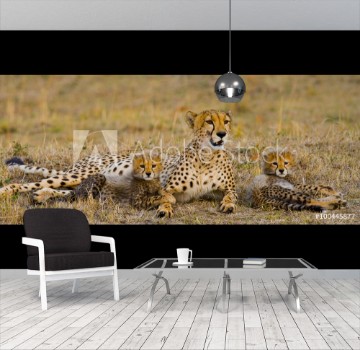 Bild på Mother cheetah and her cubs in the savannah Kenya Tanzania Africa National Park Serengeti Maasai Mara An excellent illustration